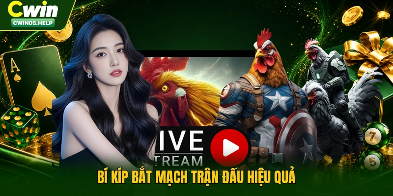 Bí kíp bắt mạch trận đấu hiệu quả